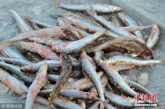 ����ͼ��̨��ǿ�Ʊ�ʾ����ԭ��ʳ�ｫ������11�࣬���������֥�顢�����ʵĹ���󶹡�����ȶ��ñ�ʾ��� ���� �� ͼƬ��Դ���Ӿ��й�