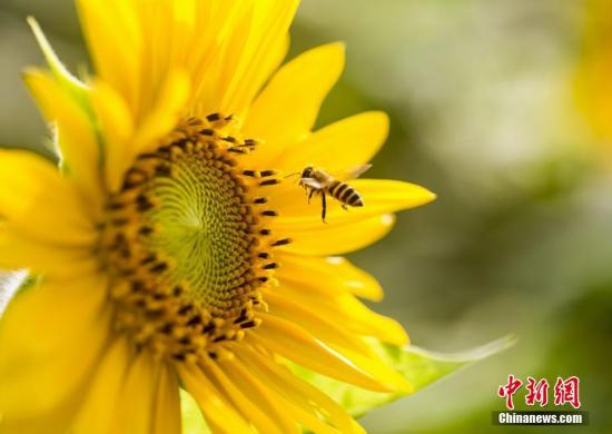 ����ͼ���۷䡣������ ��