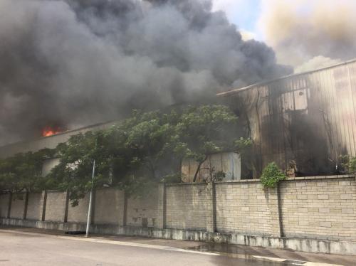 �����ֳ���̨�塶���ϱ���/̨����԰�������ֹ�ͼ