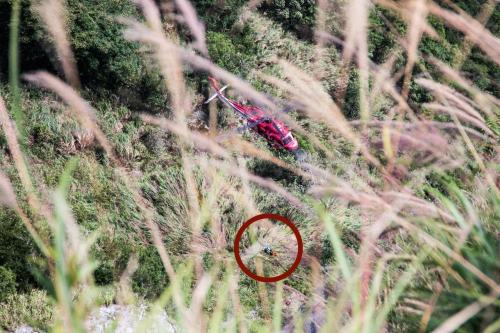 ̨�廨�����������Ѿ�ֱ������̨�塶���ϱ������߲���ǫ��Ӱ 