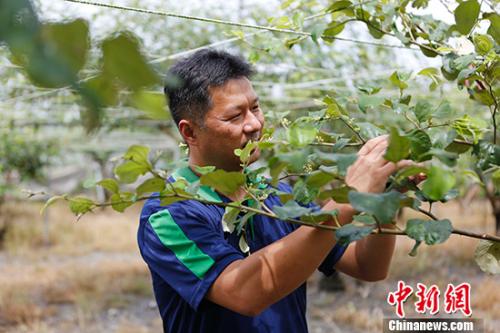 ���գ��л����ñ�����̽�������ظ����磬�˽⵱��ˮ��ҵ��չ��ͼΪ�̵�ũ�ز�Ʒ����������������ϯ����ΰ�� �л����ñ����� ��̳� ��