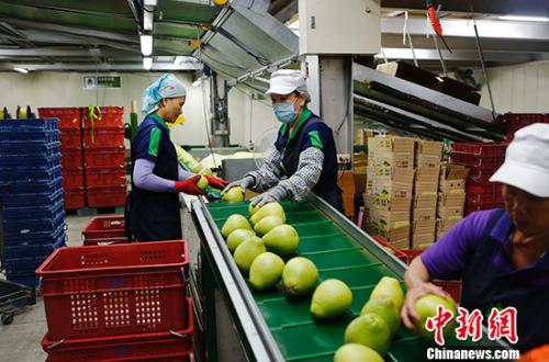 ���գ��л����ñ�����̽�������ظ����磬�˽⵱��ˮ��ҵ��չ��ͼΪ�̵�ũ�ز�Ʒ���������繤���䣬��ֵ�ĵ��ֳ��켾�ڣ�������Ա������ϴ����װ�ĵ��ֺ����֡� �л����ñ����� ��̳� ��