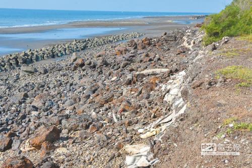 ��������ߡ�һ�ǡ�̨�塶�й�ʱ��������ׯ�F����