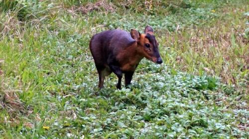 ɽǼ��Ϊ���Ǹ���¡����ѡ���̨�塶��ʱ���ӱ���/̨����������԰��ͼ