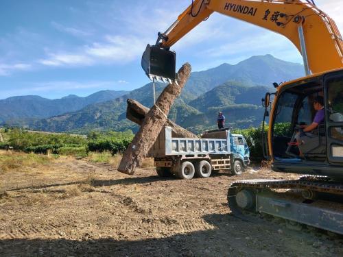 �쾯�ڳ�����԰������ص������ľ��̨�塶���ϱ����������Ǿ�����