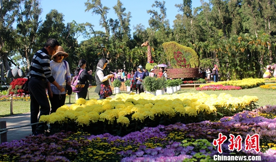 11��30�գ�2018��ʿ�ֹ�ۡ��չ��̨���ٰ쿪Ļ��ʽ���˴�չ���ԡ��������Ρ�Ϊ���⣬�ͻ����Ļ��֮�࣬�������ҵ���Ĵ������ο�ӵ�ж�Ԫ���顣�л����ñ����� ������ ��