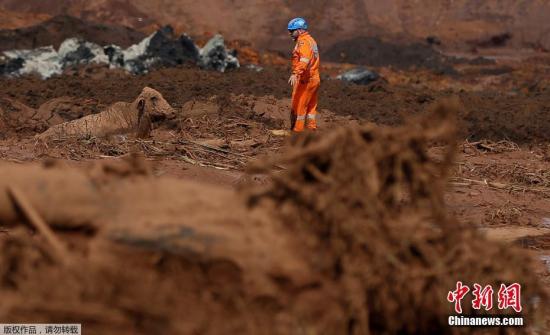 ����ʱ��1��27�գ���������˹����˹�ݿ�Ӿ����¹����ι�˾��ˮ�ӹȹ�˾��ʾ���ھ����¹������г���250�����䲻�������գ���������˹����˹�ݣ���ˮ�ӹȹ�˾һ��������Ͽ�ӵĵ̰ӷ��������¹ʣ�������ʯ����������˹����˹���������ųƣ�������ʱ��26�����磬���ҵ�40�����������壬����23������סԺ���ơ����ڴ��ڷ����µľ����¹ʵķ��գ�Ŀǰ�Ѿȹ����Ѿ���ʱֹͣ��ͼΪ������Ա���ཬ�н��һͷ�����ཬ��ţ��