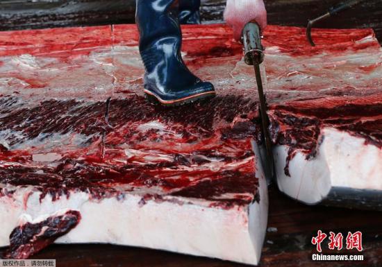 ����ͼ���ձ�������