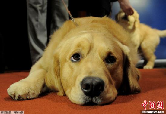 ����ͼ����ëȮ��