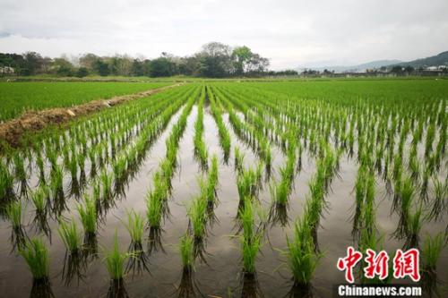 ���ϵش�̨�塰����ɽ�����뺣��ɽ��֮�䣬�γ�Զɽ������ǧĶ����Ķ��ؾ��ۡ�<img height=���� ����Զ ��