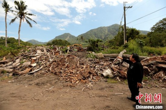 ͼΪ��־¡����߽���Ҥ��ʹ�õ�Ư��ľ��<a target='_blank'  data-cke-saved-href='http://www.chinanews.com/' href='http://www.chinanews.com/'><p  align=